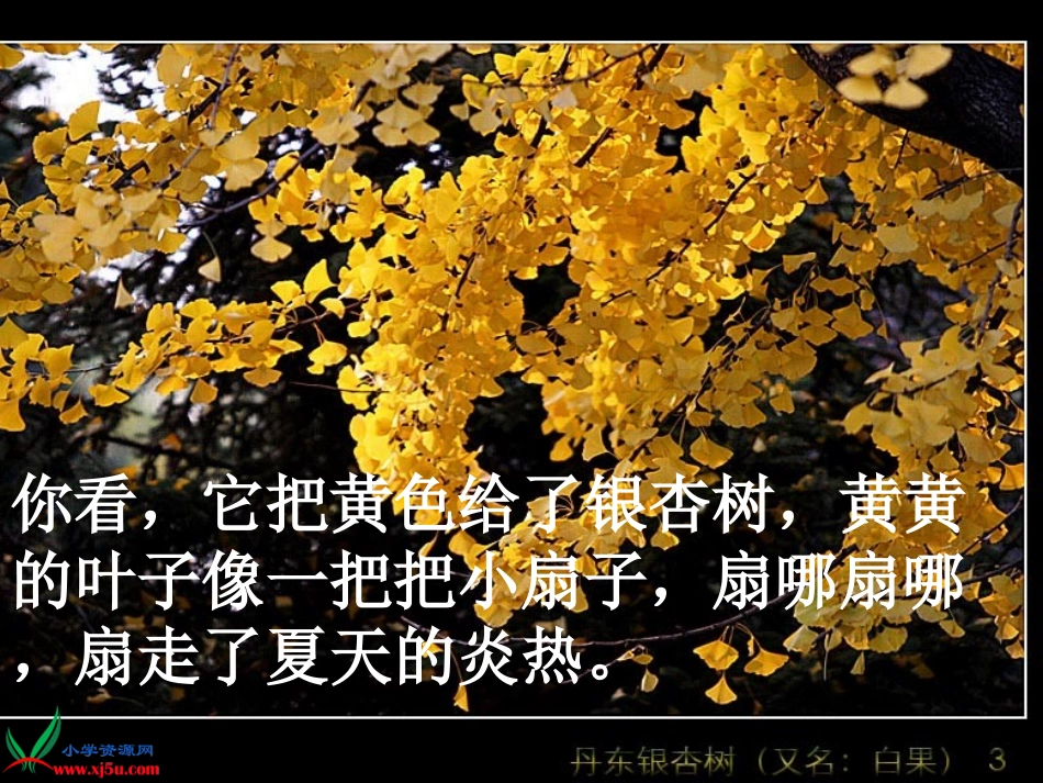 秋天的雨(2)_第3页