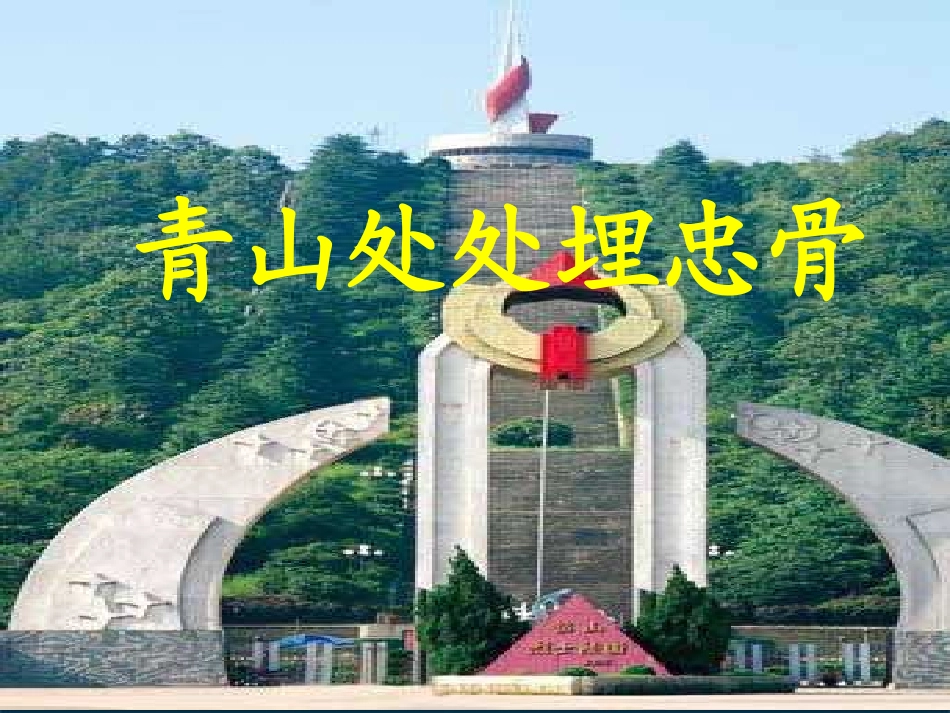 《青山处处埋忠骨》课件_第1页