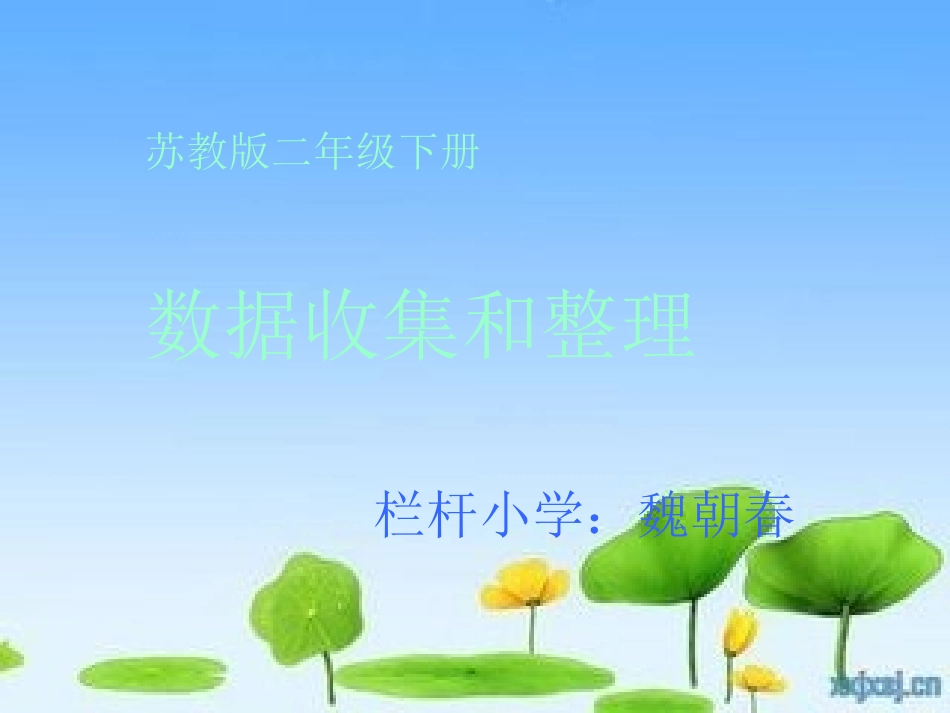 例1_数据的收集和整理（一）_第1页