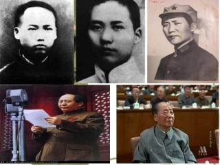 第八单元整体预习课1