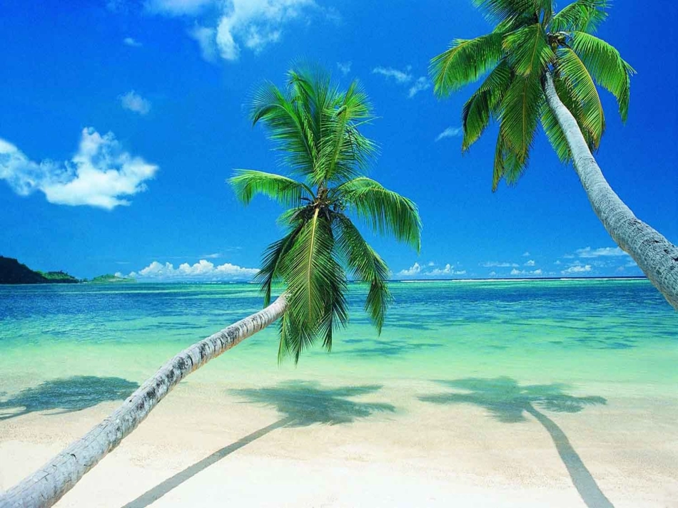 我家门前的海_第2页