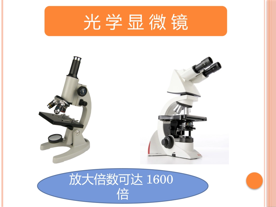 显微镜的使用 _第3页
