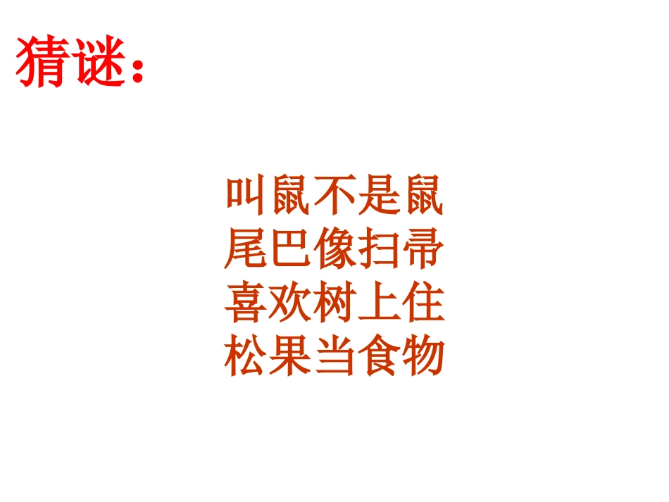 跑进家来的松鼠 (2)_第2页