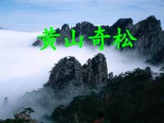 黄山奇松_幻灯片