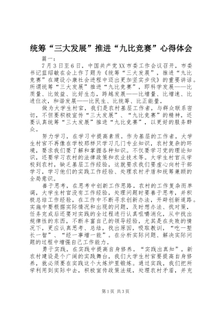 统筹“三大发展”推进“九比竞赛”心得体会