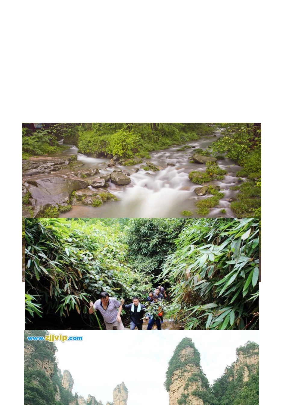 索溪峪的野的教学设计2_第3页