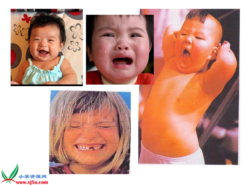 小学美术《自画像》PPT课件(1)_第3页