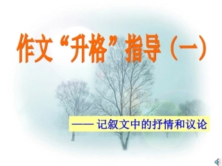作文带一点抒情议论
