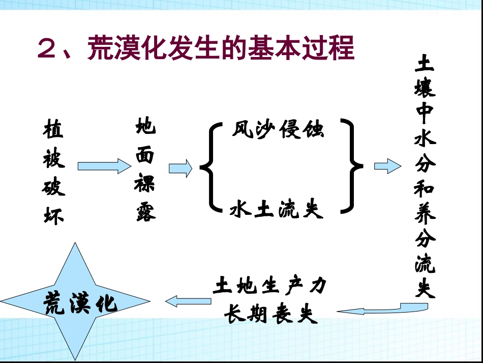 荒漠化得防治_第3页