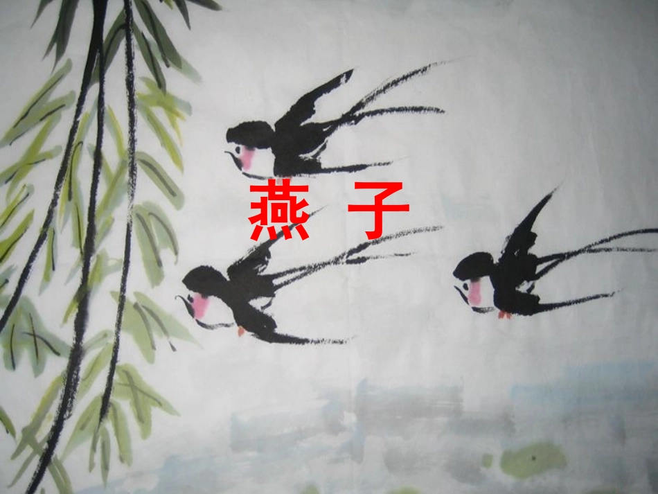燕子PPT课件_第1页