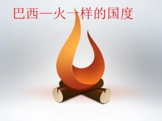 《第六节巴西》课件1