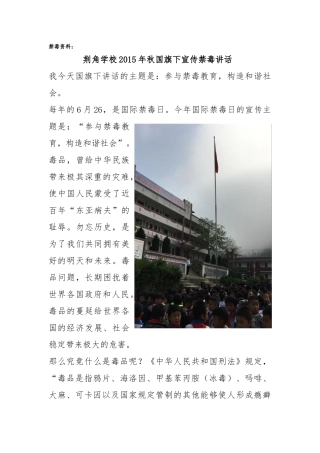 禁毒在国旗下讲话
