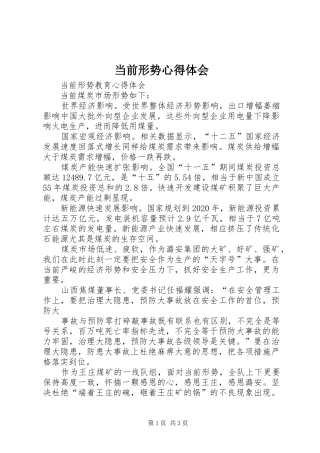 当前形势心得体会