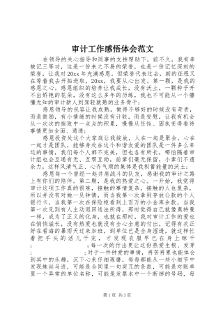 审计工作感悟体会范文