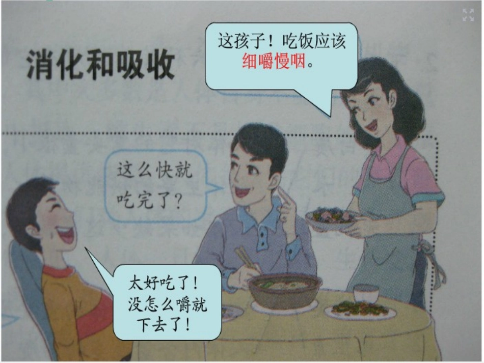 消化与吸收1_第2页