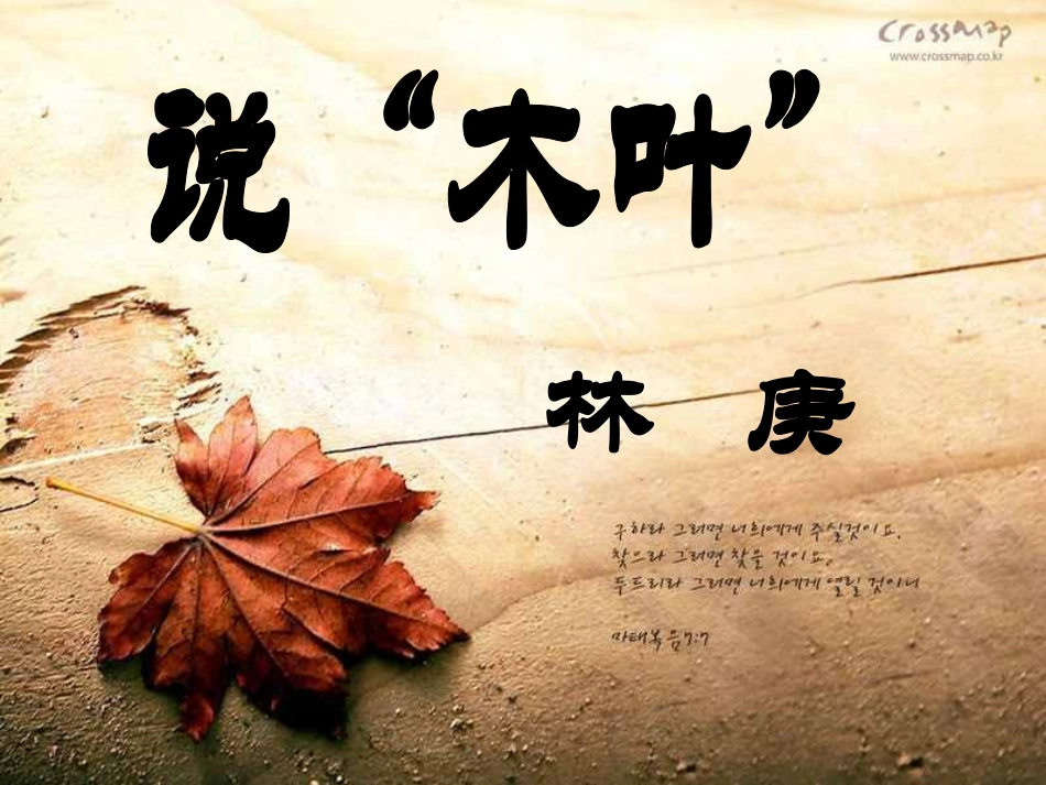 说“木叶”袁联娟_第1页