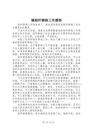 镇秸秆禁烧工作感悟