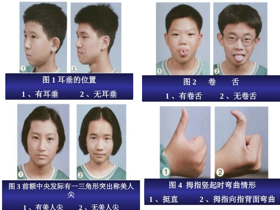 分离定律巩固课_第2页