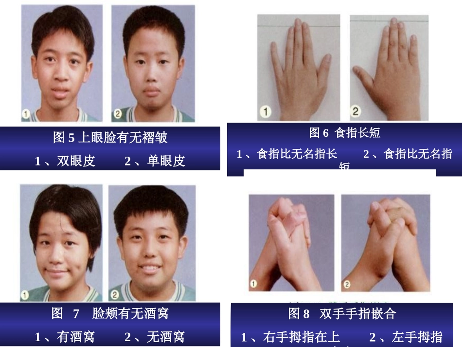 分离定律巩固课_第3页