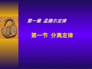 分离定律巩固课