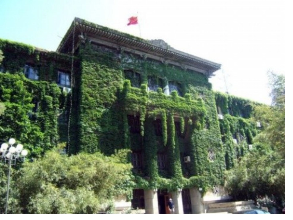 爬山虎的脚2_第3页