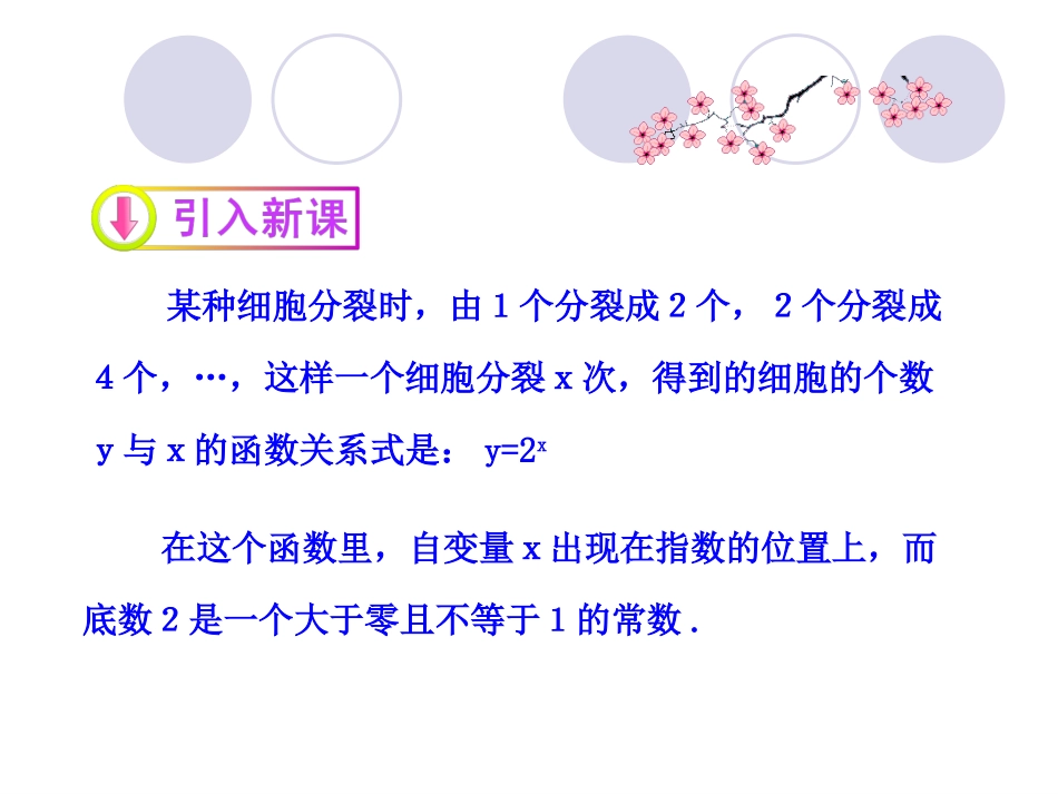 指数函数及其性质第课时指数函数的图象及性质_第3页