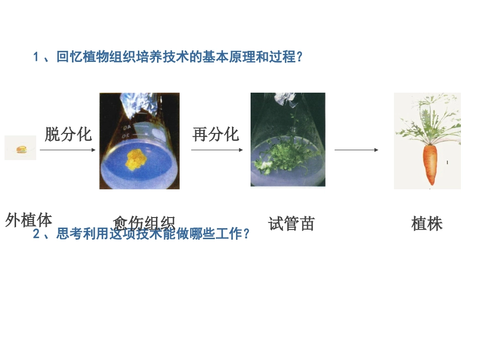 选修三212植物细胞工程的实际应用_第2页