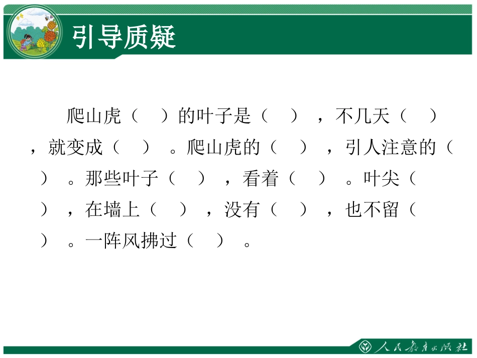 爬山虎的脚课件_第3页