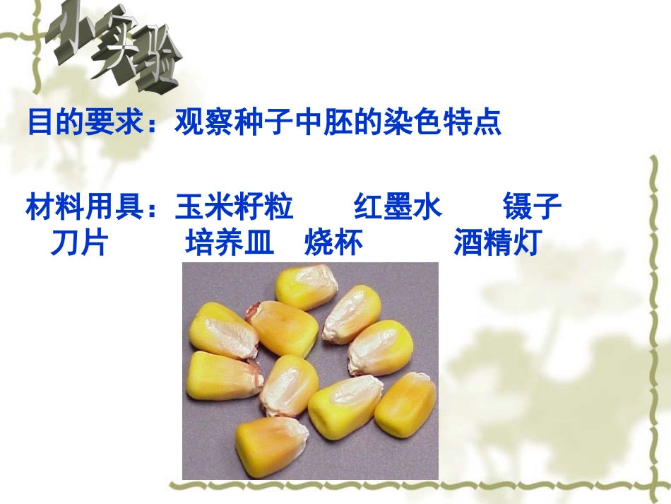 必修一第二章《细胞的结构》第二节《细胞膜和细胞壁》_第1页