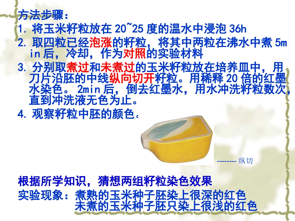 必修一第二章《细胞的结构》第二节《细胞膜和细胞壁》_第2页