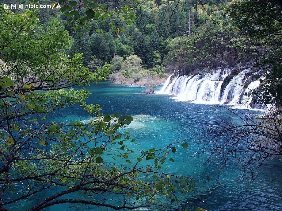 人教版四年级语文上册课件-语文园地五(完整二)_第2页