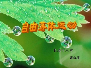 《自由落体运动》PPT-窦红星
