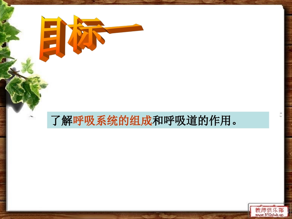 人体的呼吸（复习）_第3页