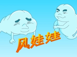 《风娃娃》课件1