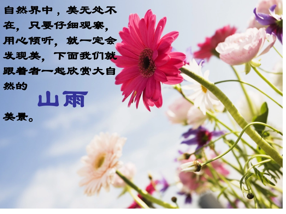 小学六年级《山雨课件》_第3页