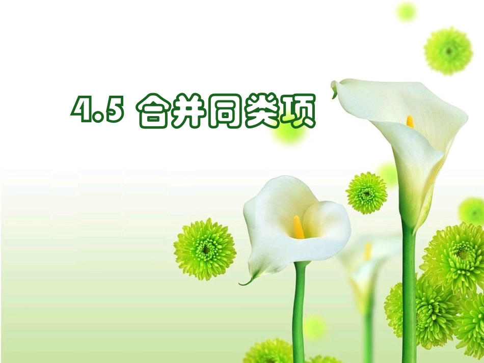 浙江省宁波市宁海县长街镇初级中学浙教版七年级上册数学课件：4-5合并同类项（共34张PPT）_第3页