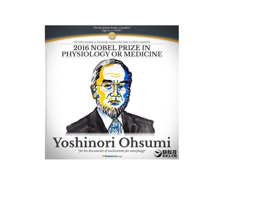 2016生理学诺贝尔奖_第2页