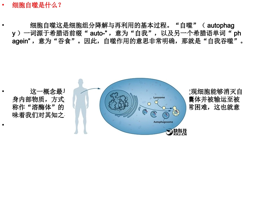 2016生理学诺贝尔奖_第3页
