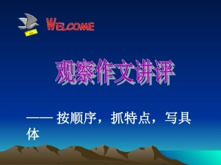 四年级上册第二单元观察作文讲评