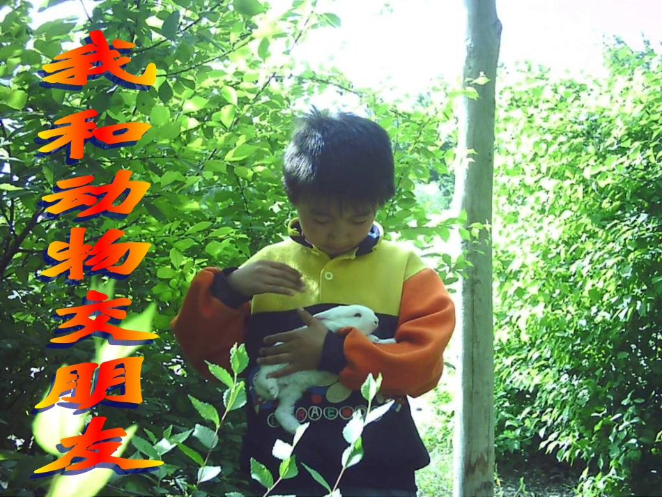我和动物交朋友_第1页