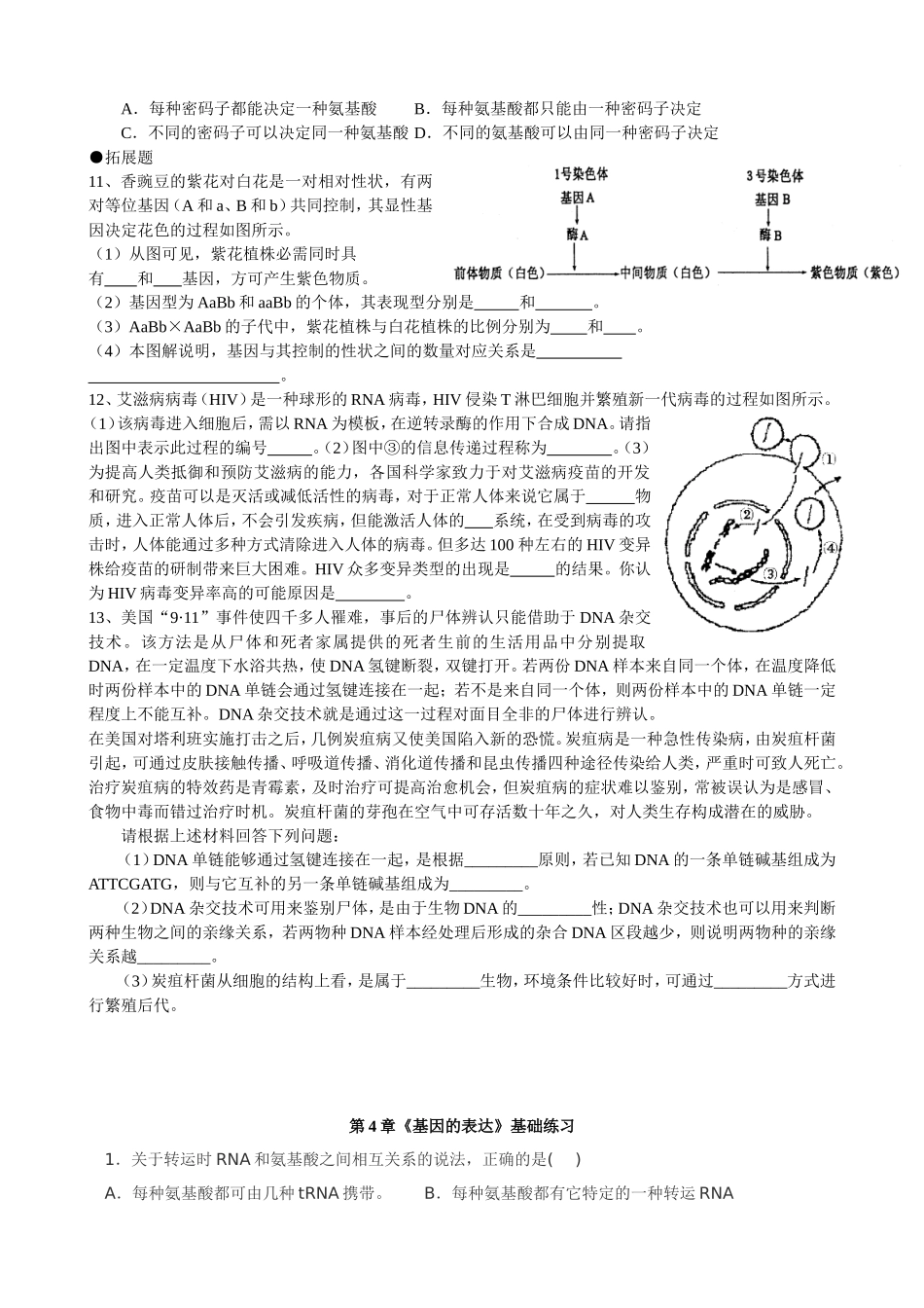基因指导蛋白质的合成习题_第3页