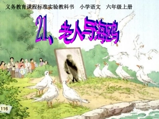 老人与海鸥上课