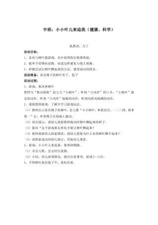 小小叶儿来追我