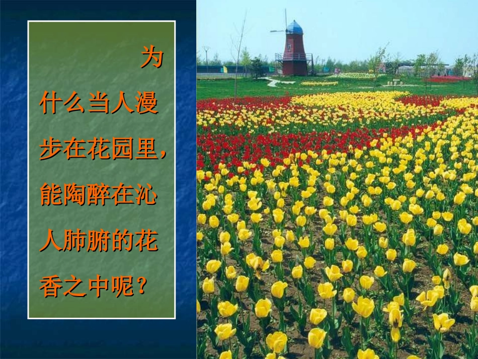 《分子和原子》课件_第2页