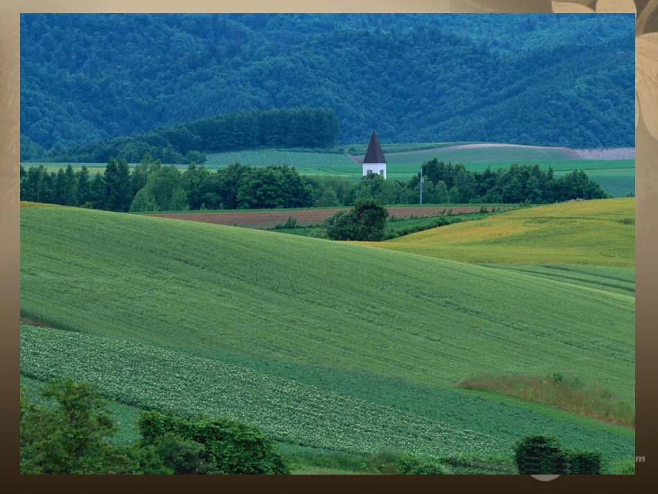 九年级政治全册第2单元第2节共同的问题共同的选择课件湘教版_第3页