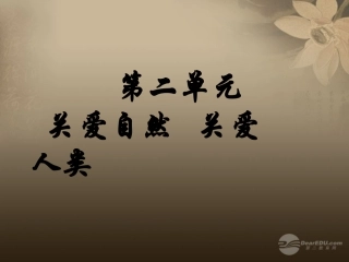 九年级政治全册第2单元第2节共同的问题共同的选择课件湘教版