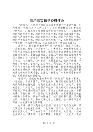 三严三实领导心得体会