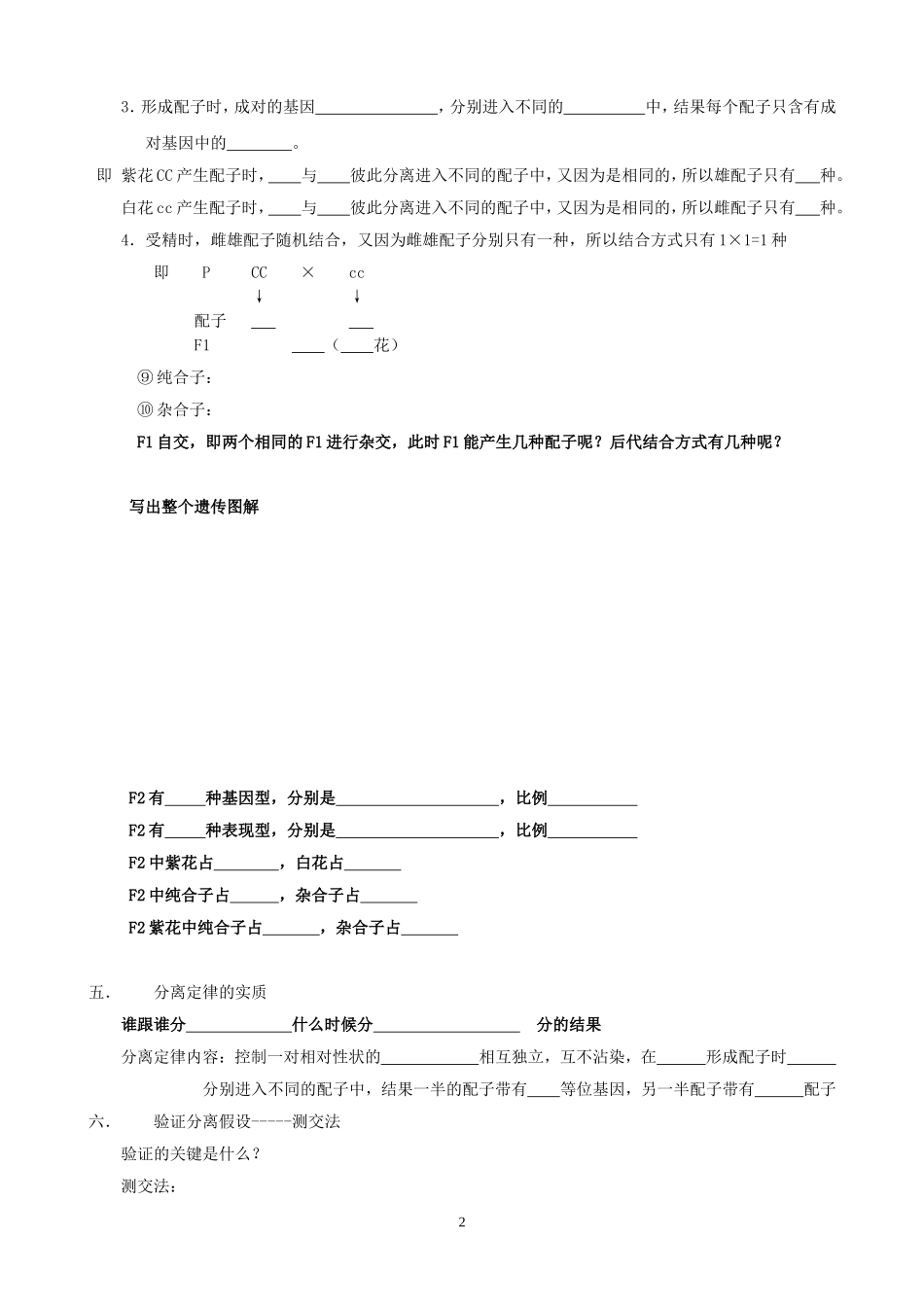 第一节分离定律_第2页