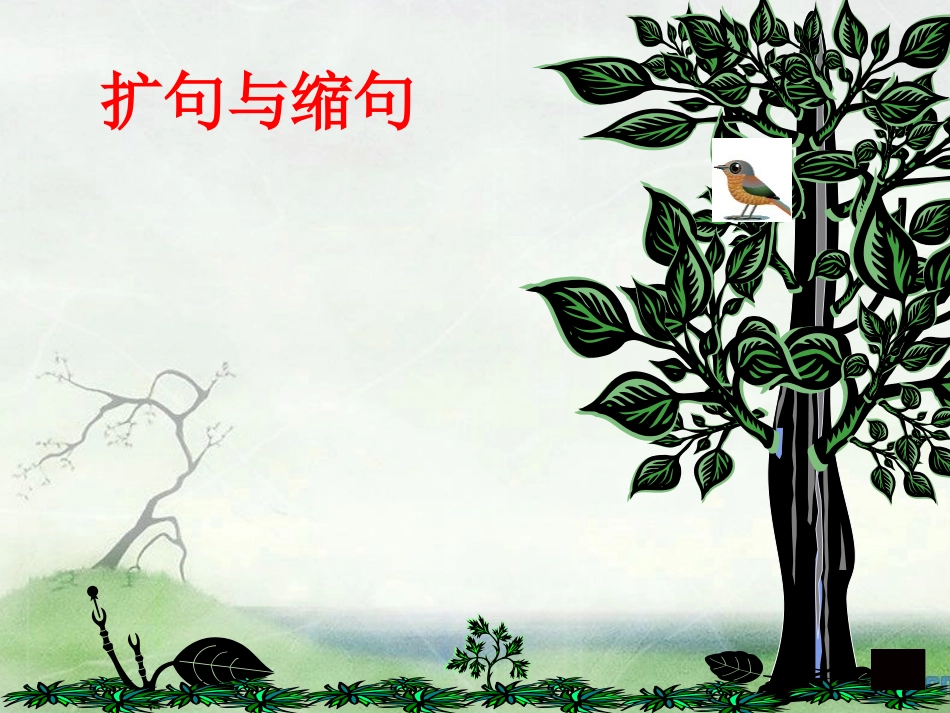扩句与缩句2_第1页