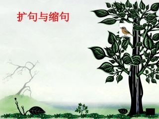扩句与缩句2